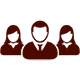 Professional Team